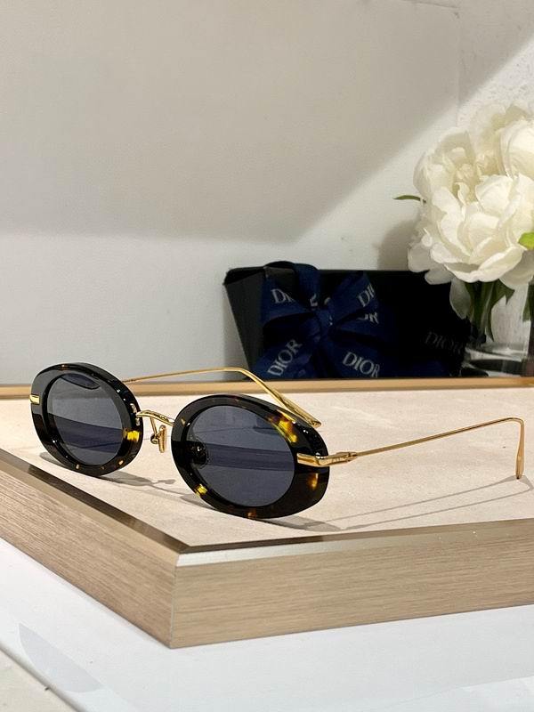 DIOR Sunglasses 255